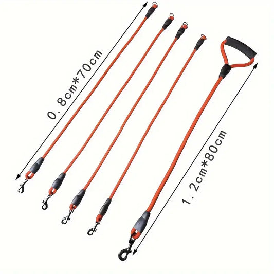 CORREA - CUATRO EN RUTA