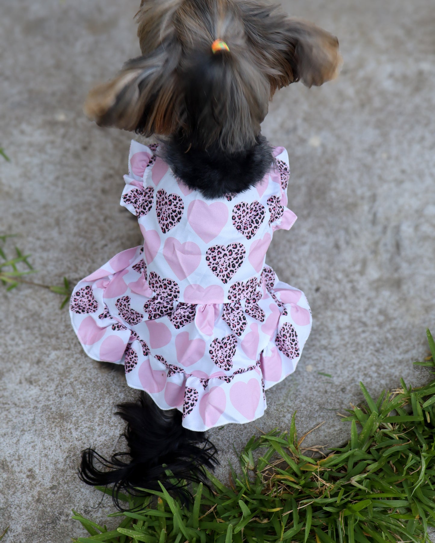 WILD HEART DRESS
