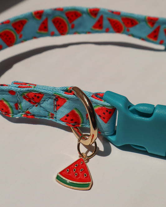 COLLAR - WATERMELON DAYS