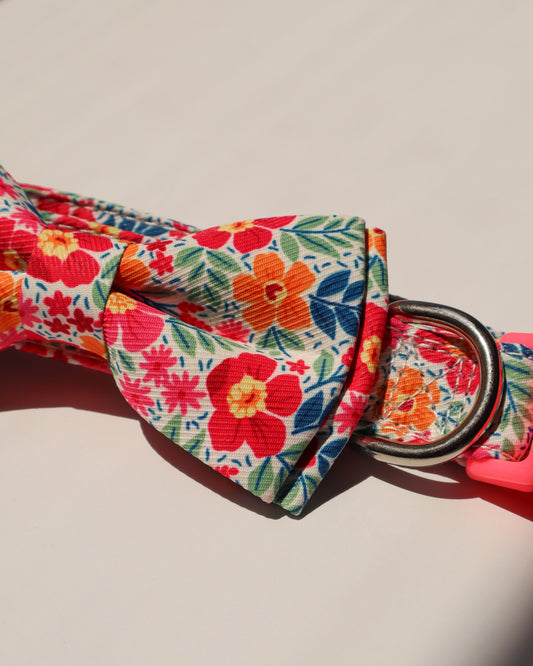 COLLAR - PRETTY IN PETALS