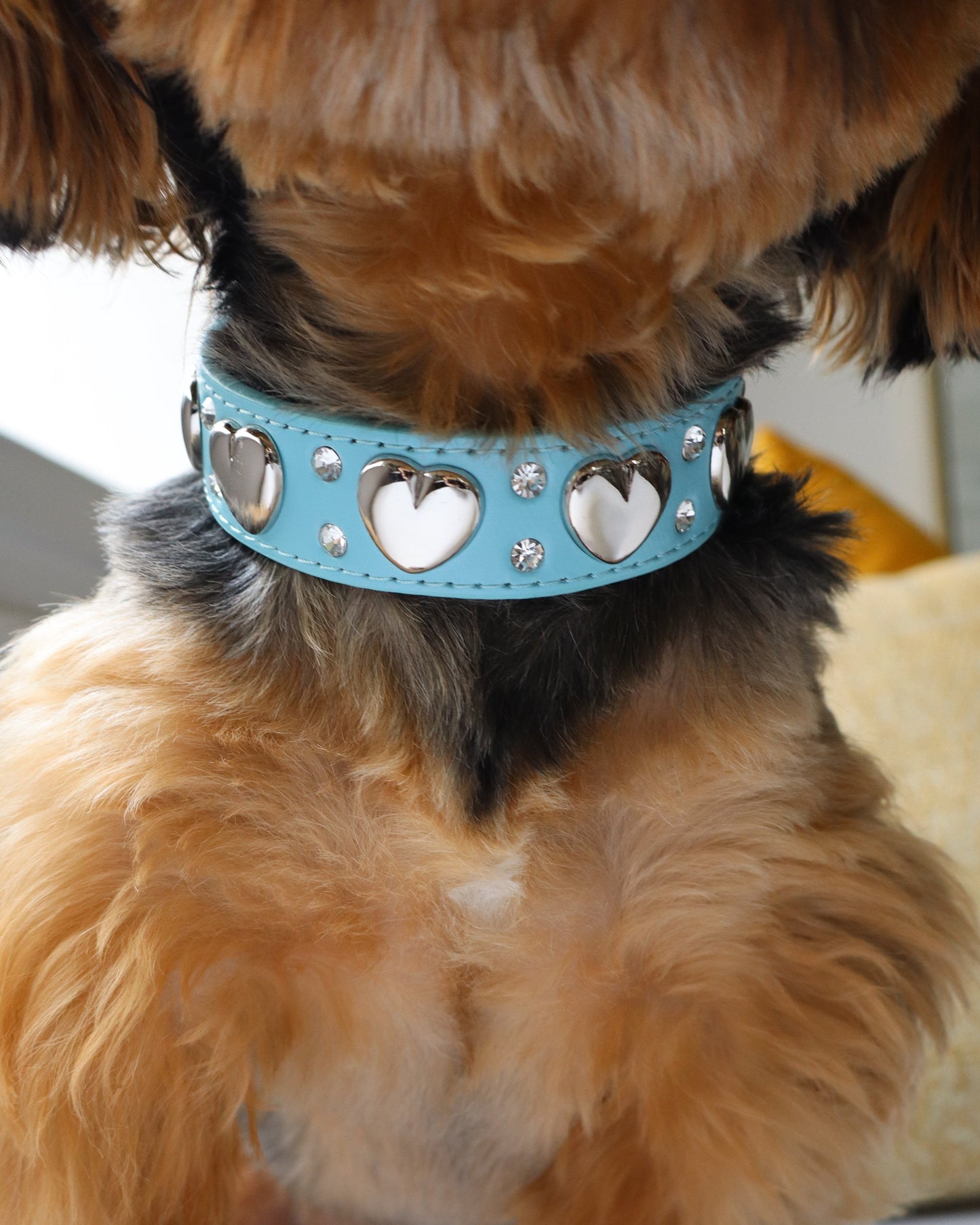 COLLAR - HEARTBREAKER