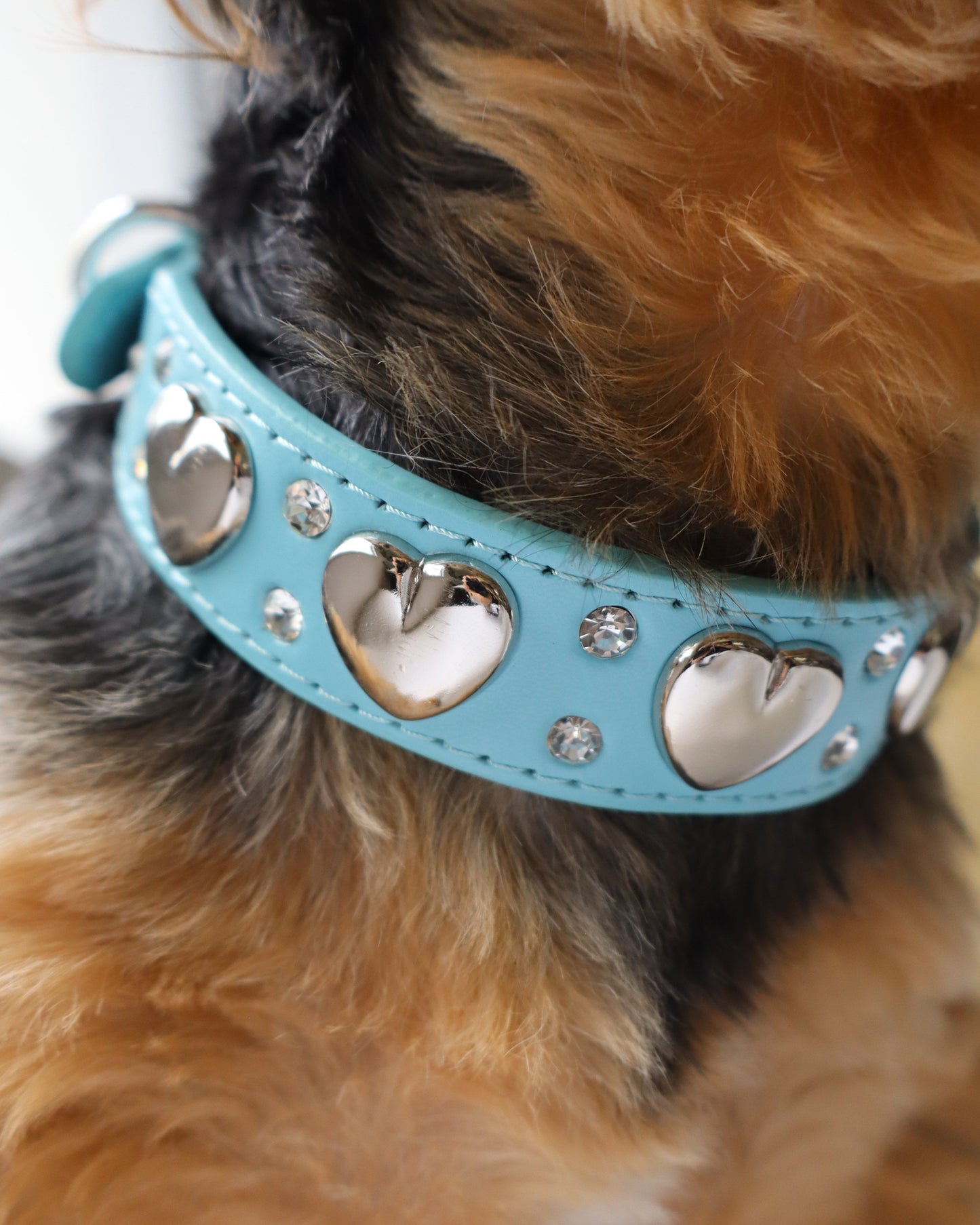 COLLAR - HEARTBREAKER