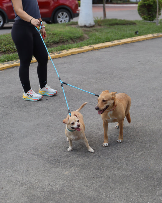 CORREA DOBLE - BLUETWIST