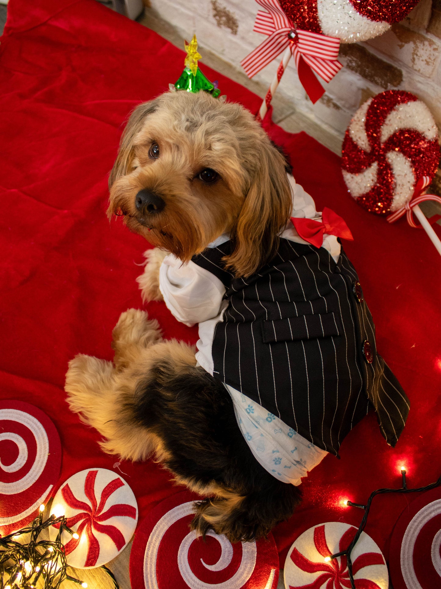 HOLIDAY GENTLEMAN SUIT