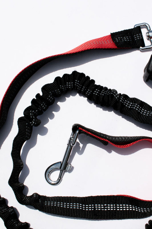 CORREA MANOS LIBRE - ROJA DINÁMICA