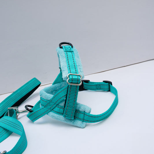 ARNÉS CON CORREA - TURQUOISE COMFORT
