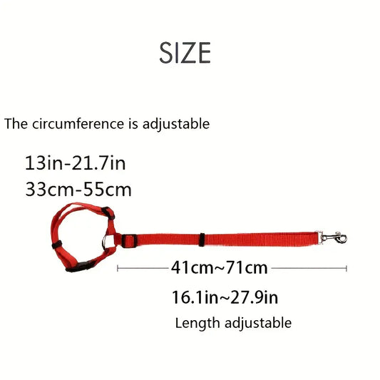 CINTURÓN DE SEGURIDAD PARA AUTO (AJUSTE EN CABECERA) - REDDRIVE