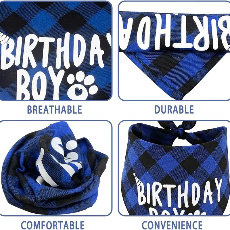 SET DE CUPLEAÑOS - BIRTHDAY BOY