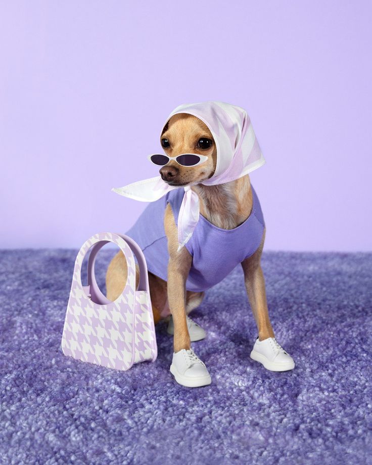 Pawtique 🎀