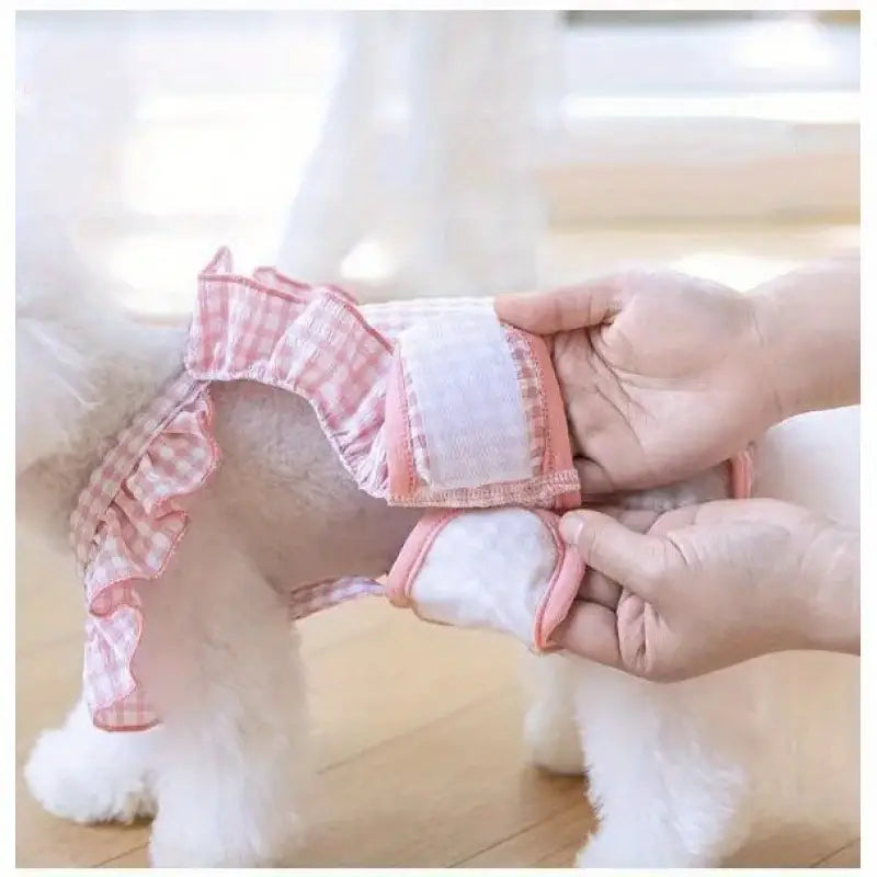 PANTY - PINK PICNIC