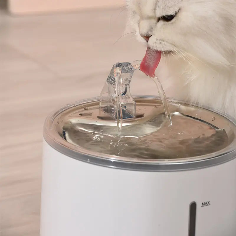 FUENTE DE AGUA AQUAFLOW