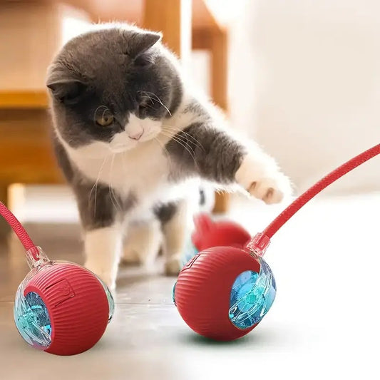 LED INTERACTIVE BALL