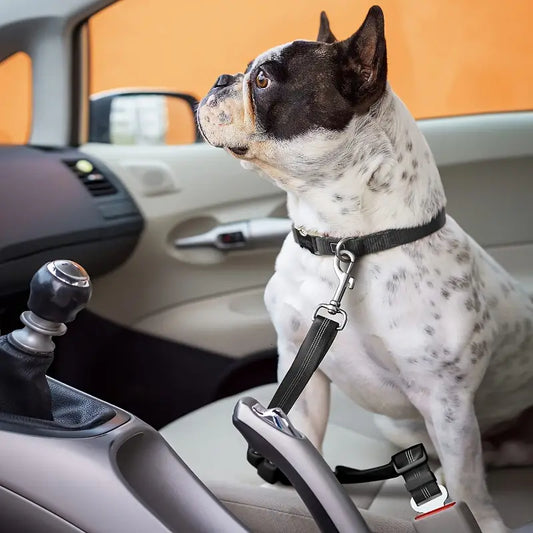 CINTURÓN DE SEGURIDAD PARA AUTO - BLUERIDE