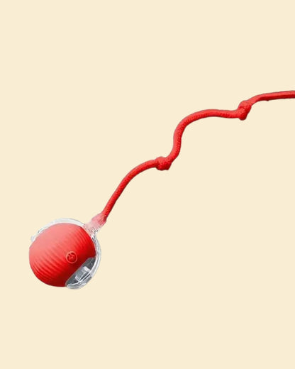 LED INTERACTIVE BALL