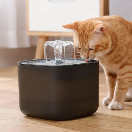 FUENTE DE AGUA HIDROPET BLACK
