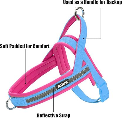 ARNÉS - COLOR BLOCK