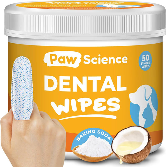 DENTAL WIPES