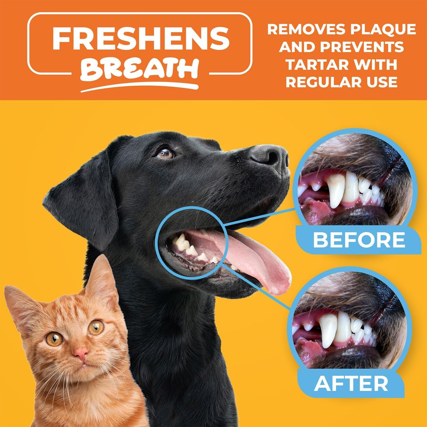 DENTAL WIPES