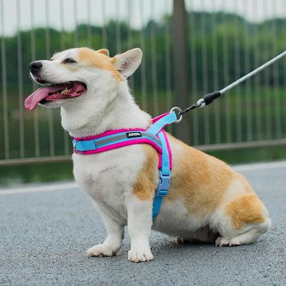 ARNÉS - COLOR BLOCK