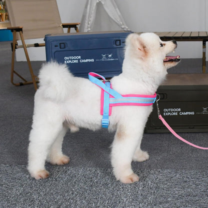 ARNÉS - COLOR BLOCK