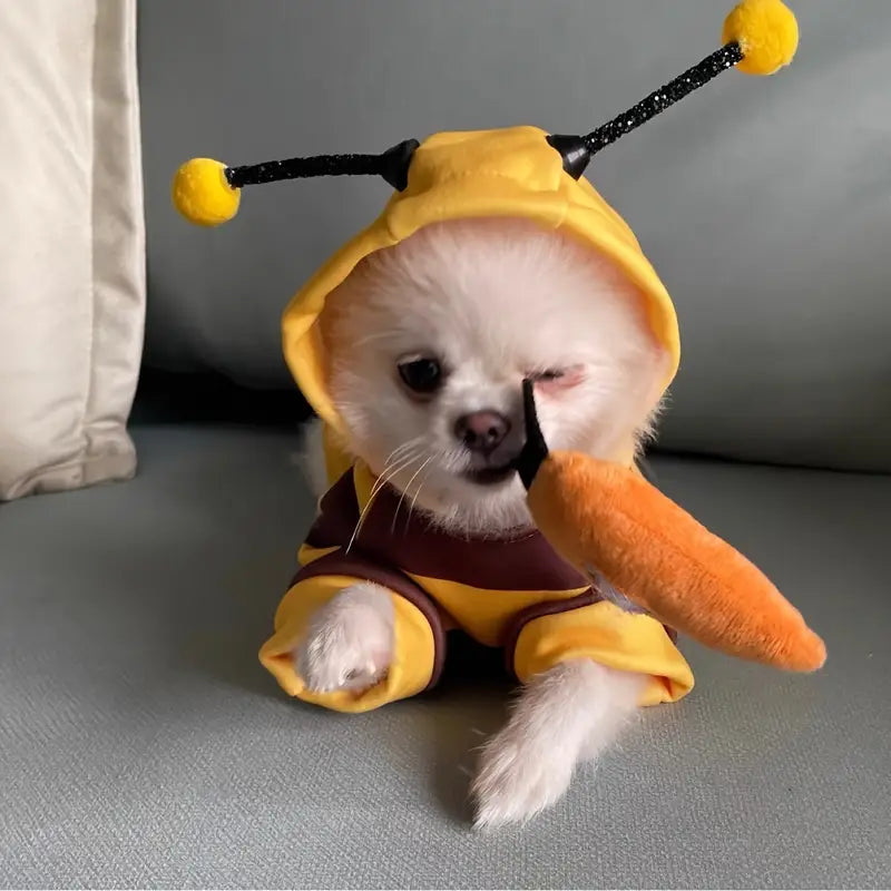 HONEY BEE COSTUME