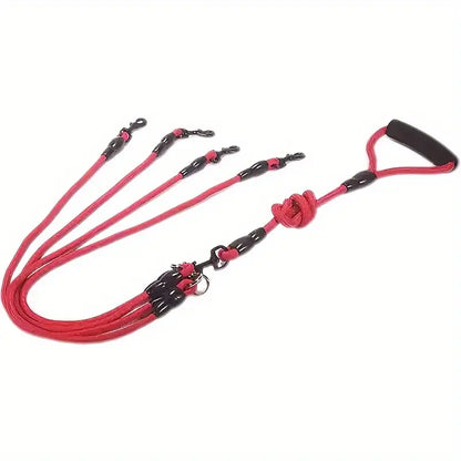 CORREA - CUATRO EN RUTA