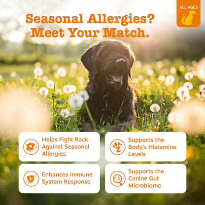 ALLERGY & IMMUNE BITES - ZESTY PAWS