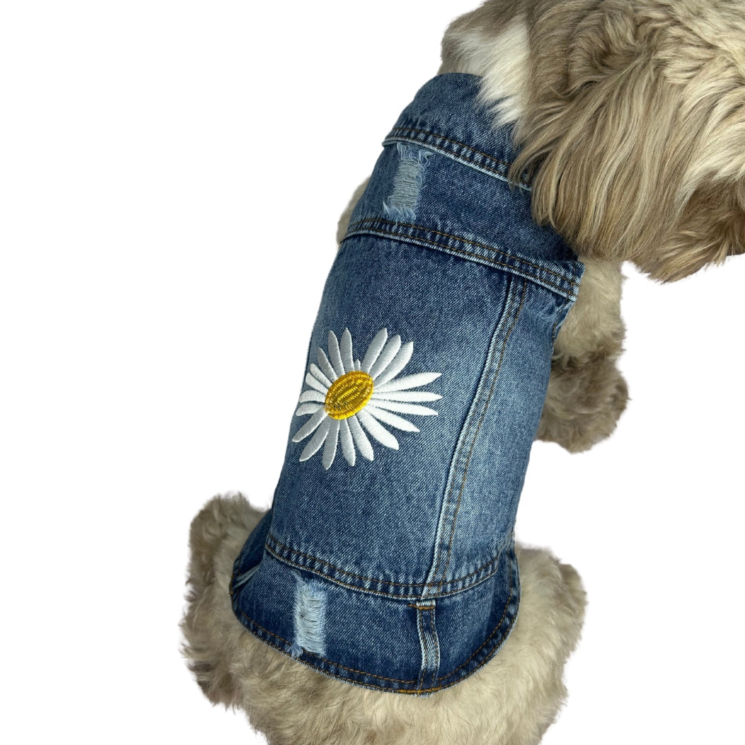DAISY JEAN JACKET