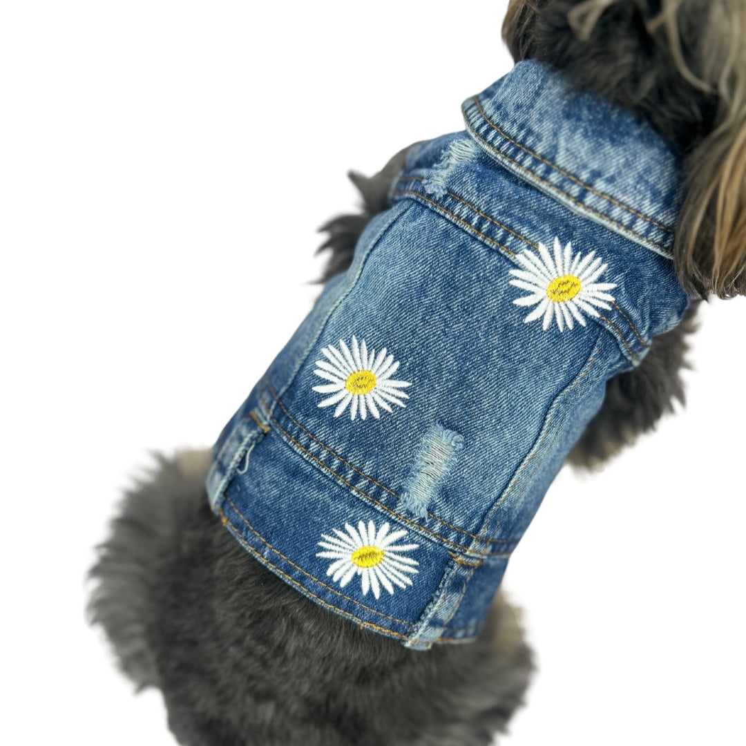 MARGARITAS JEAN JACKET