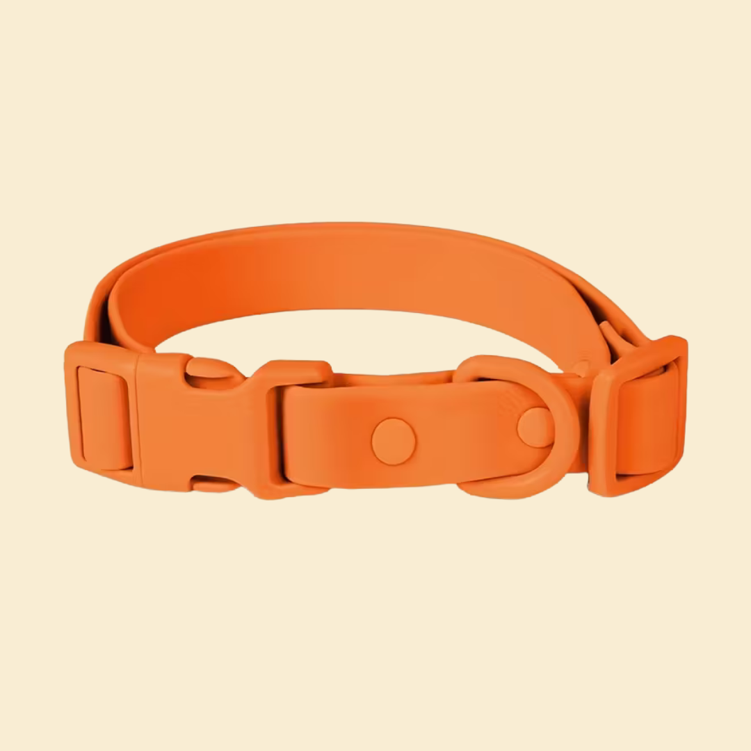 RAINBOW - COLLAR DE PVC