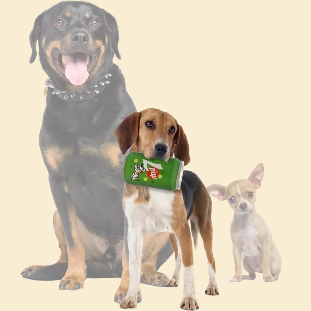 LUCKY PUP DOG TOY - SILLY SQUEAKERS