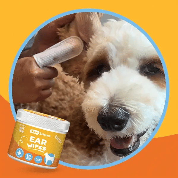 EAR WIPES