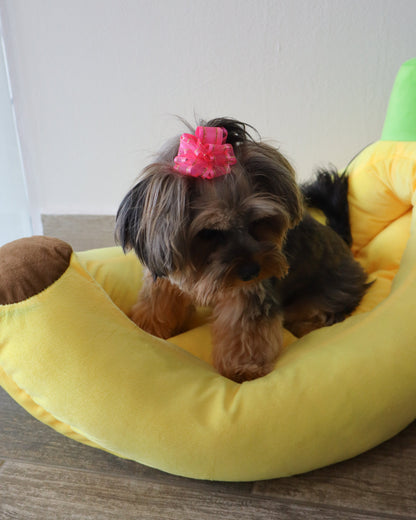 CAMA - BANANA DREAMS