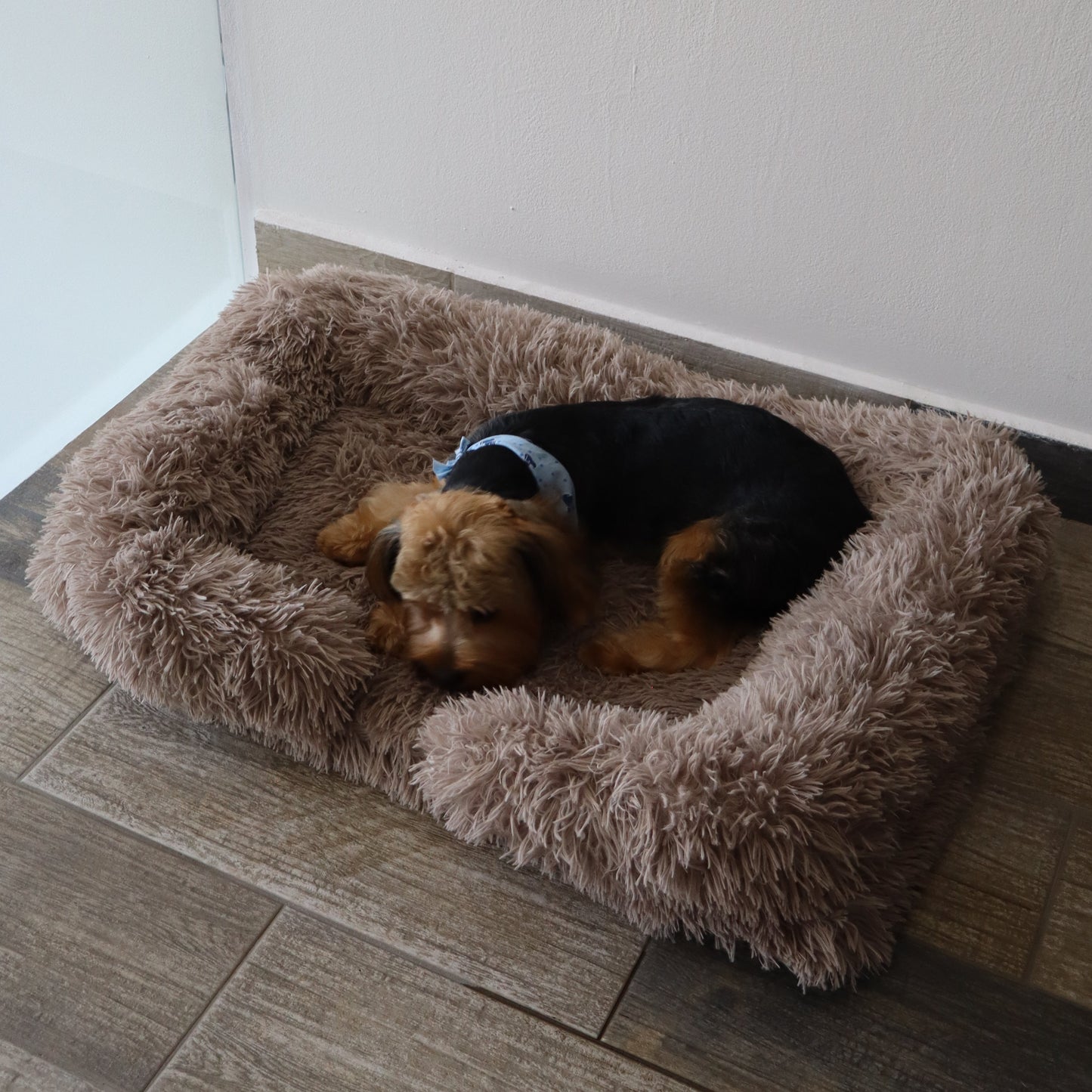 CAMA - BROWN FLUFF