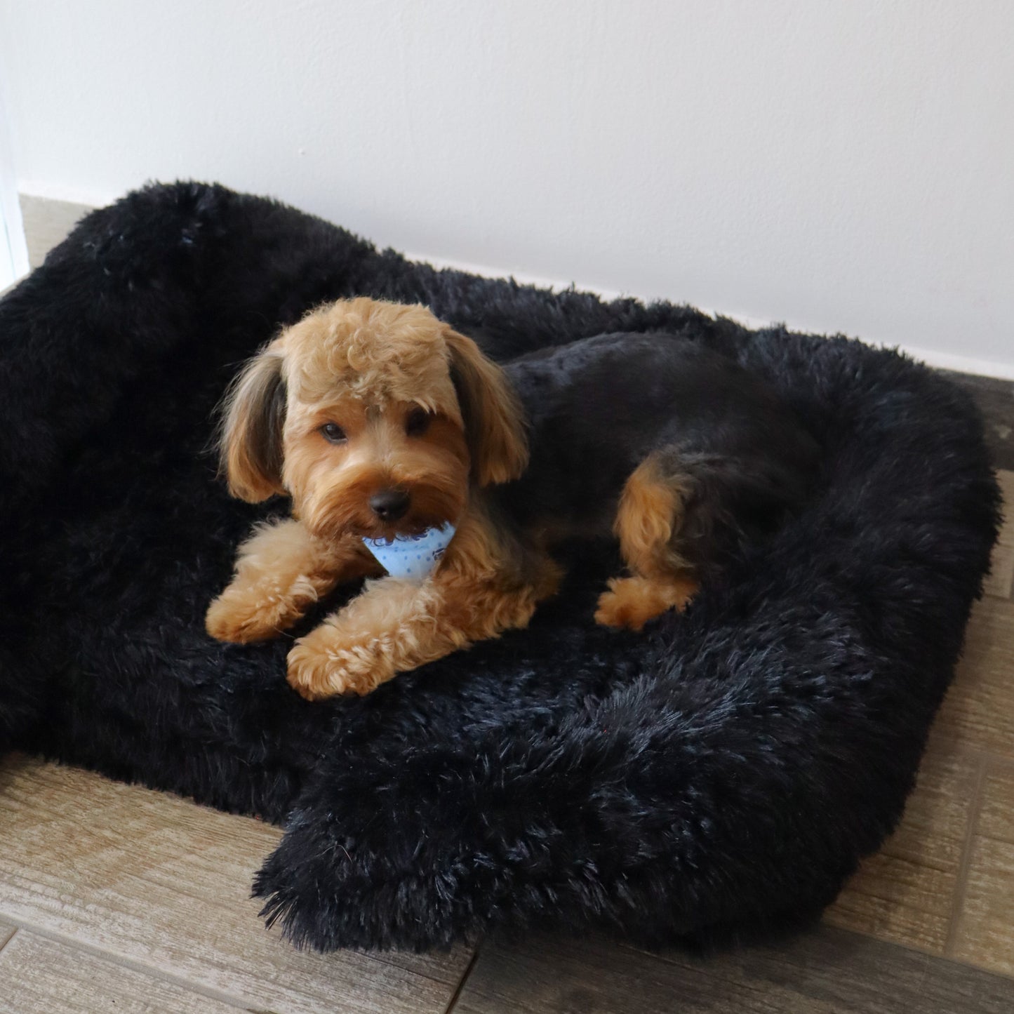 CAMA - BLACK FLUFF
