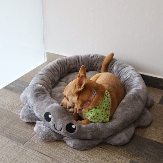 CAMA - GREY PULPOLAND