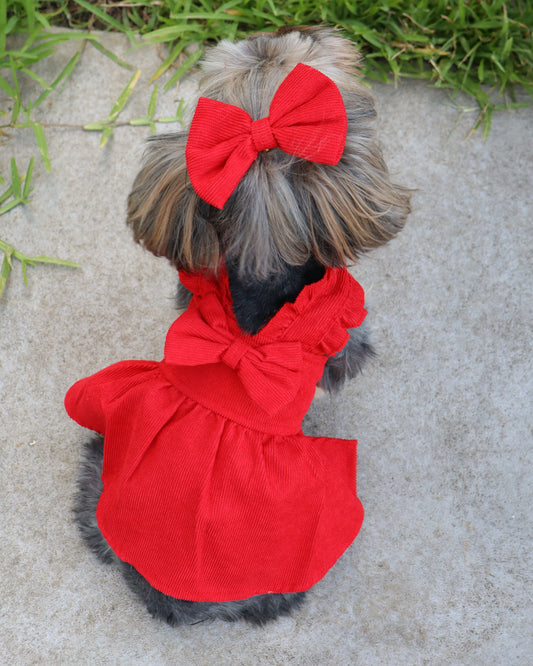 SOFI'S RED DRESS