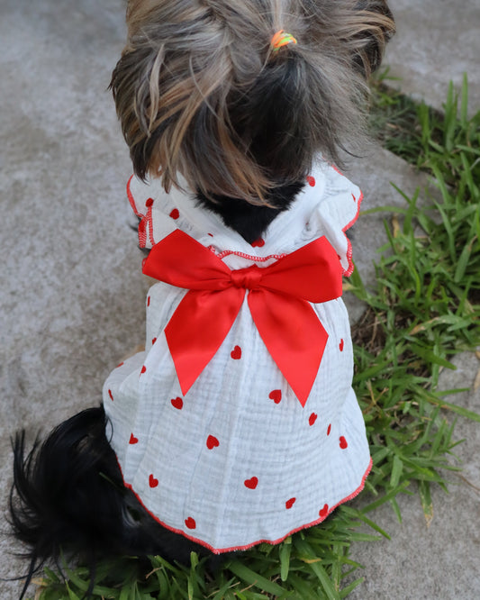 CORAZONCITOS DRESS