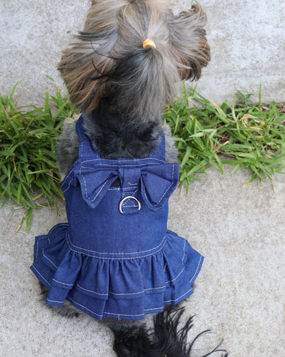 BLUE JEAN DRESS