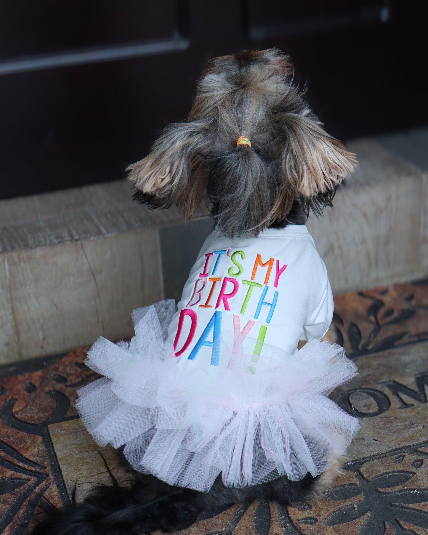 BIRTHDAY GIRL DRESS