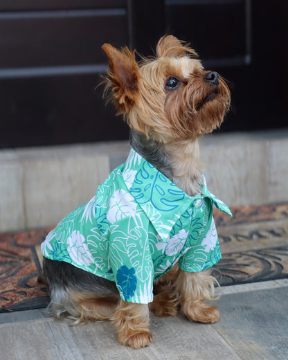 ALOHA PET SHIRT