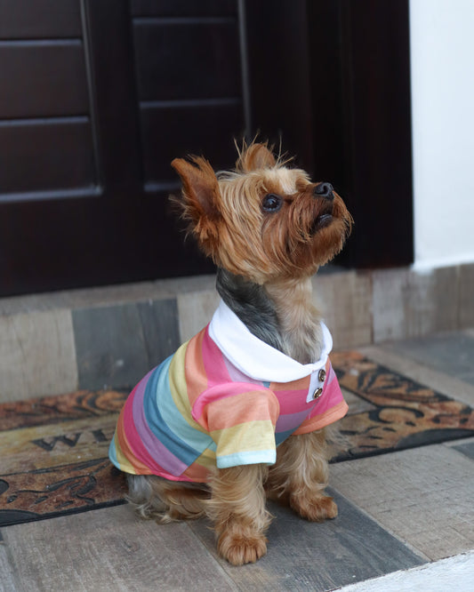 RAINBOW POLO