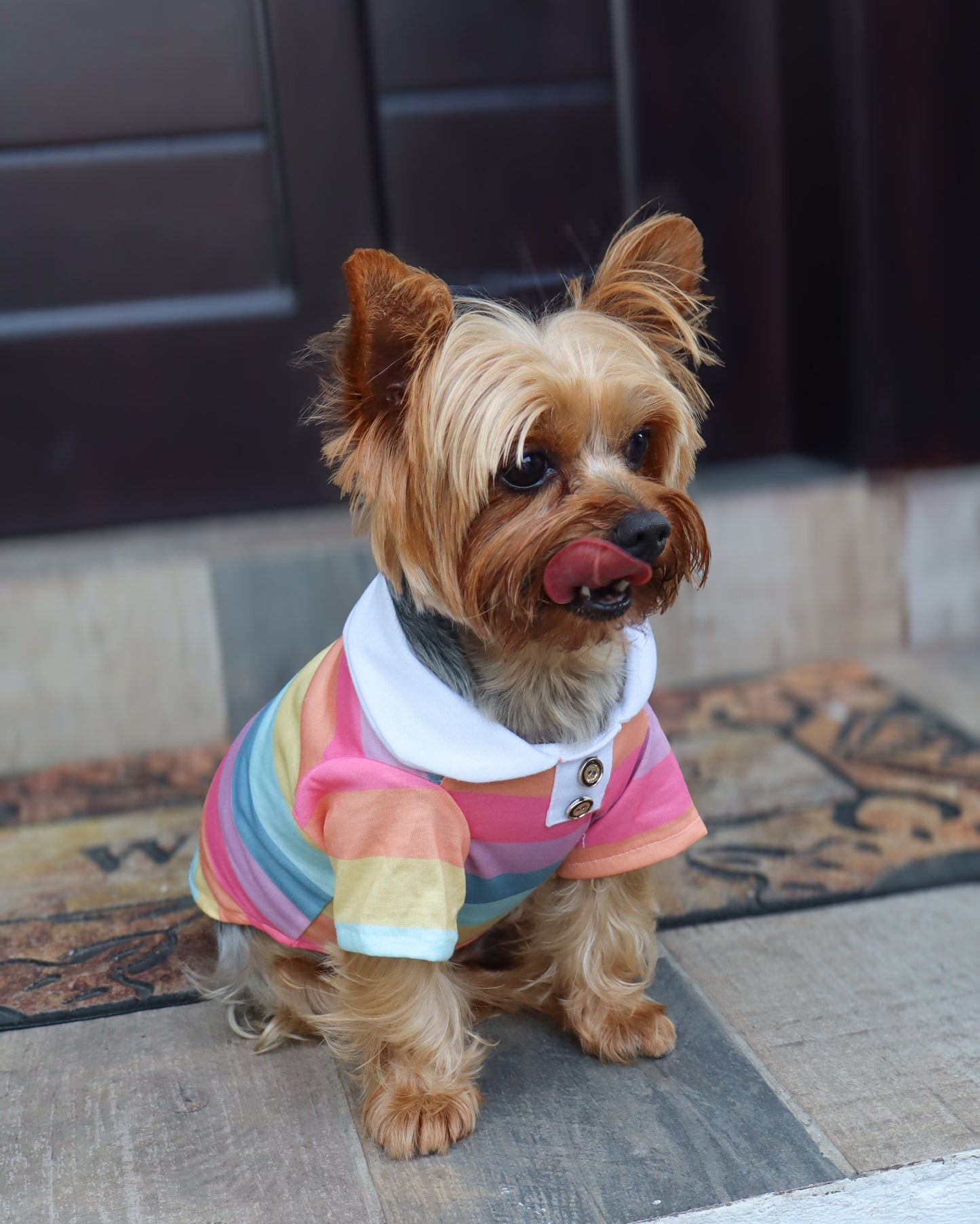 RAINBOW POLO