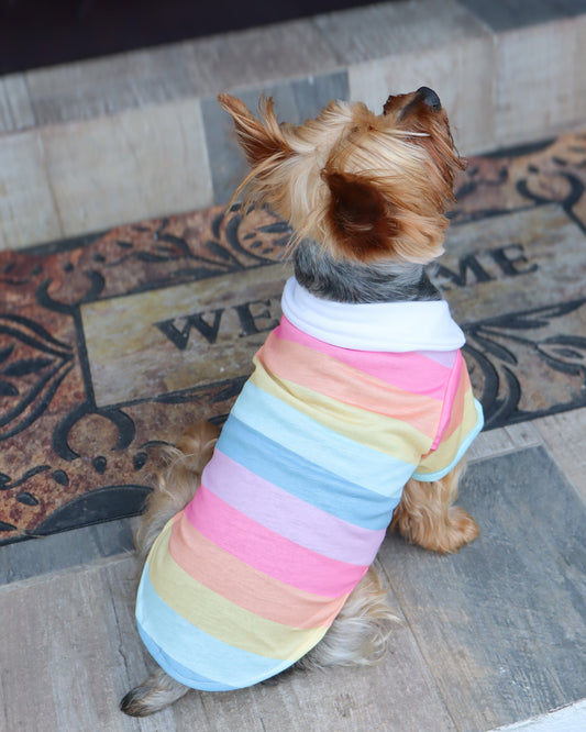 RAINBOW POLO