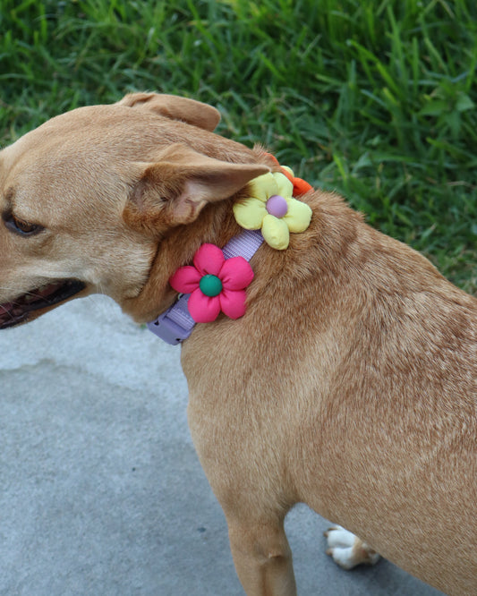 COLLAR - FLORA