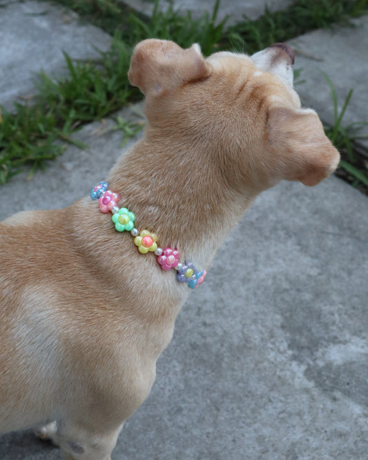 COLLAR - AURA FLORAL