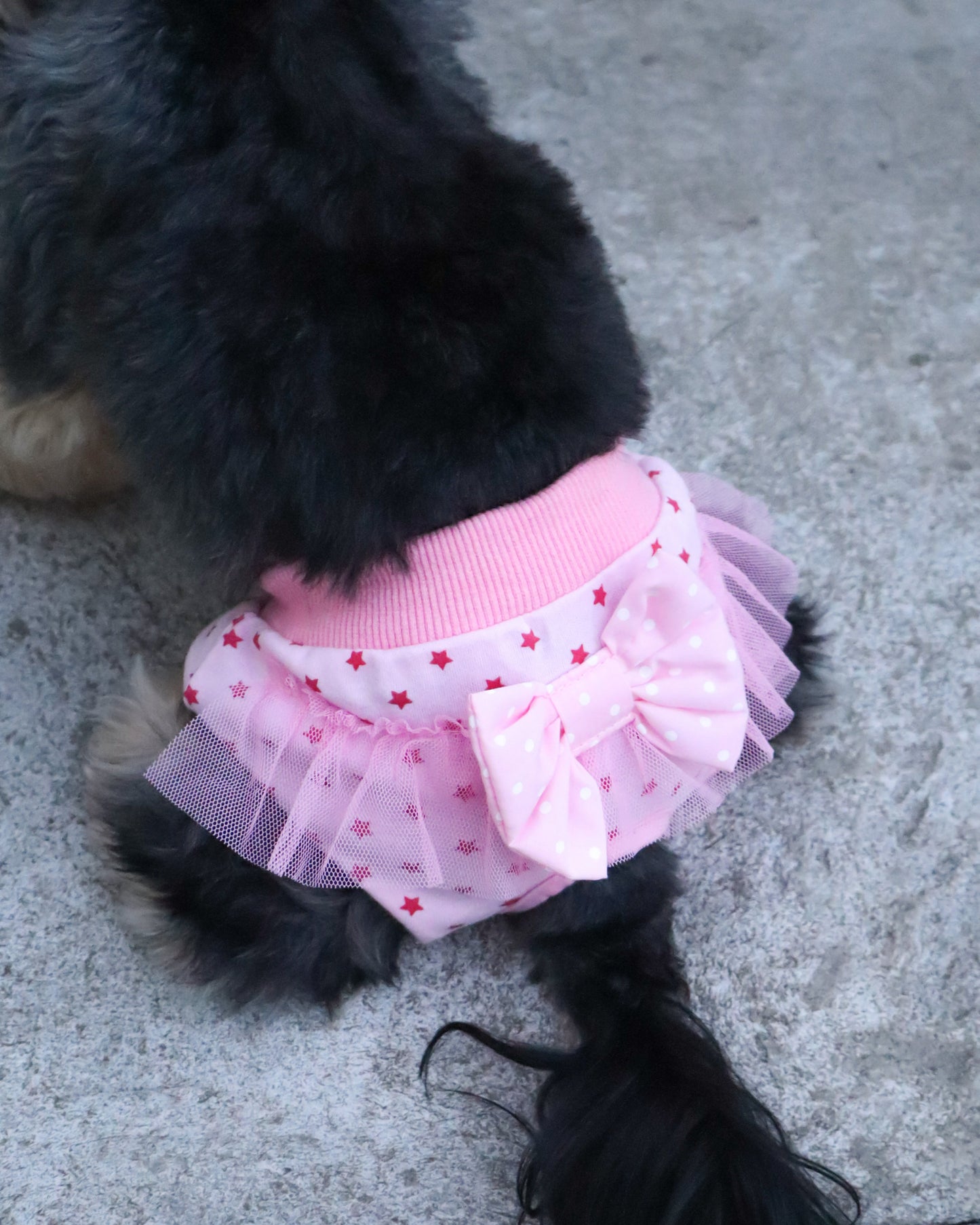 PANTY - PINKY STAR