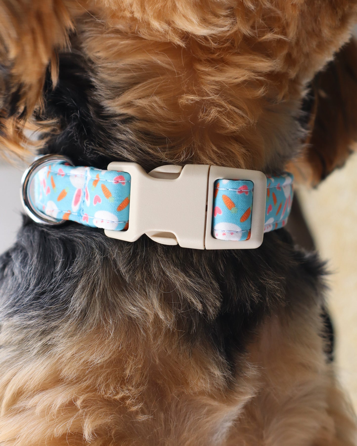 COLLAR - BUNNY LOVE