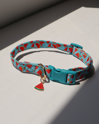COLLAR - WATERMELON DAYS