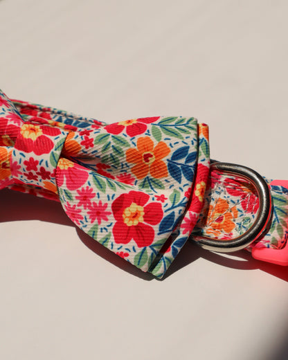 COLLAR - PRETTY IN PETALS